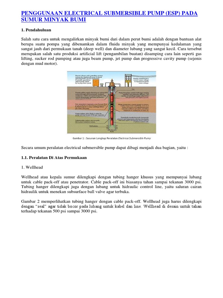 Penggunaan Electrical Submersible Pump | PDF