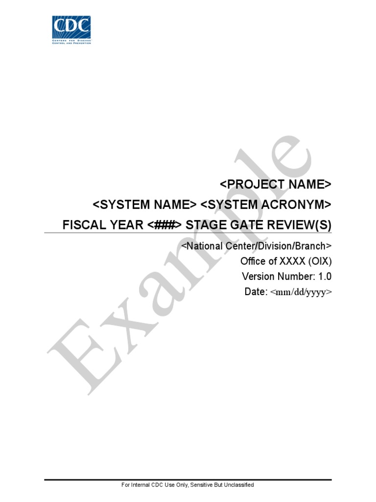 Fiscal Year Stage Gate Review (S) | PDF | Business