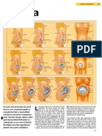 Sarcina.pdf