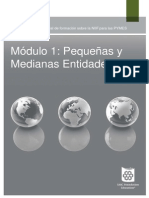 1_Pequeñas y Medianas Entidades.pdf