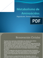 1-MetabolismodeAminoacidos (1).pdf