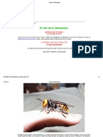 Avispón Asiático Gigante PDF