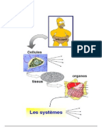 Physio A.pdf