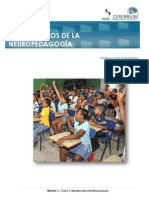 DND M1C1 L 3 - Principios de La Neuroeducacion PDF