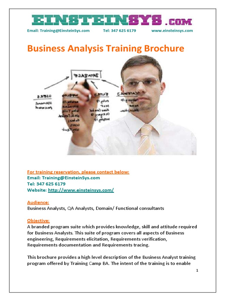 Business Analyst Training Program Overview | PDF | Business Analysis ...