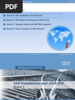 Sap Basis