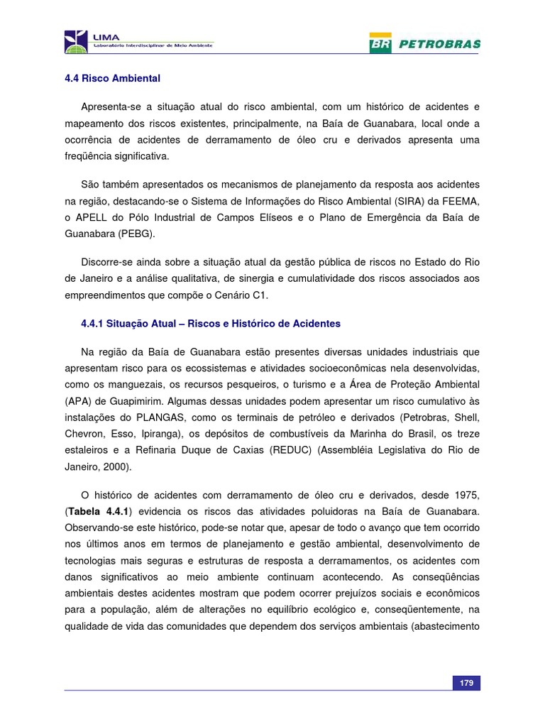 Riscos Ambientais na Baía de Guanabara | PDF | Risco | Desperdício