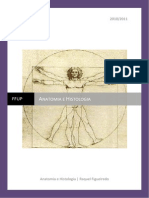Sebenta Anatomia 1 Parte PDF