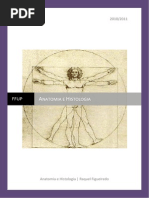 Sebenta Anatomia 1ª Parte.pdf