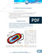 La Celula PDF