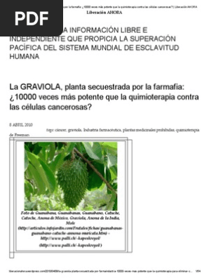 La Graviola Pdf Cancer Medicina Alternativa