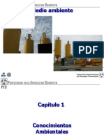 Unicon Impacto Ambiental PDF