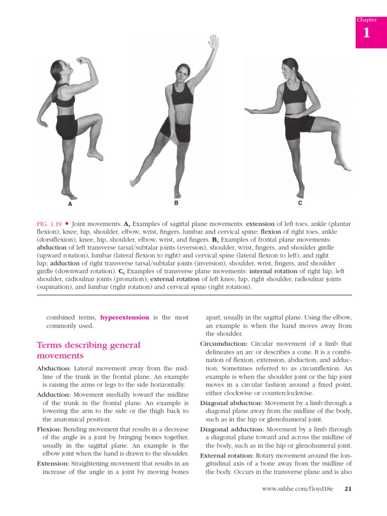 Joint Movements from Manual of Structural Kinesiology Anatomical
