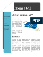 Uniones Gap PDF