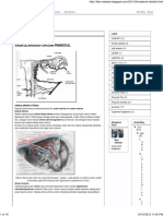 Anatomi Obstetri PDF