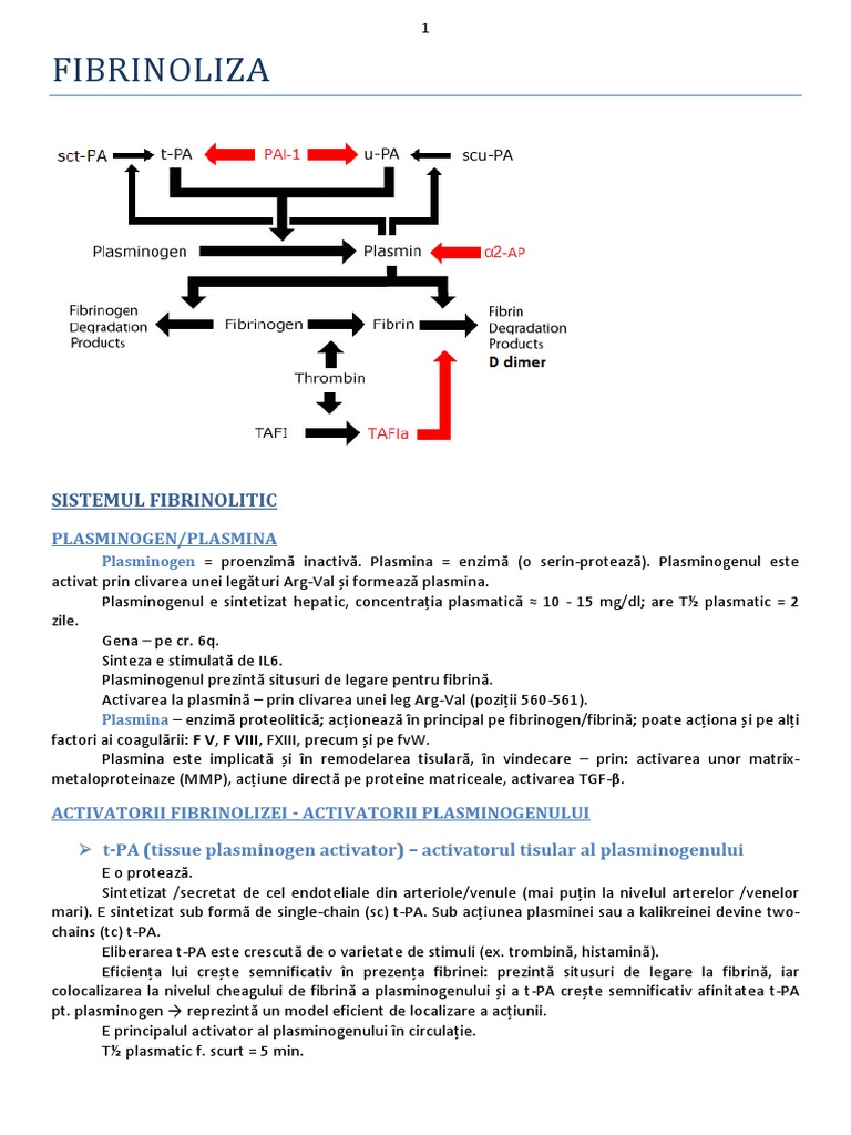 Fibrinoliza | PDF