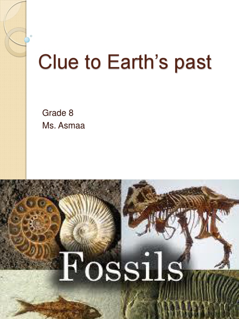 Clue To Earths PastFossils PDF Fossil Sedimentary Rock