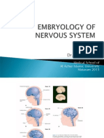 EMBRYOLOGY OF NERVOUS SYSTEM New13
