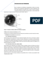 CROISSANCE+BACTERIENNE_2.pdf