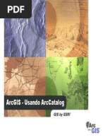 Usando_ArcCatalog.pdf