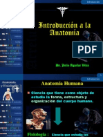 1. ANATOMIA DERECHO 2014.ppt