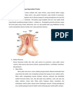 REPRODUKSI WANITA] Anatomi dan Fisiologi Organ Reproduksi Wanita