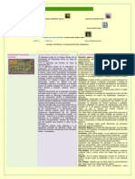 Cuadro - Historico - y - Comparativo - Del - Liderazgo Equipo 8