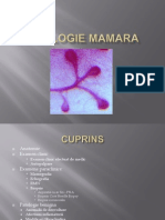 Patologie Mamara