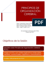 3 - Principios de Organización Cerebral