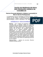 Cogumelos em Erva Mate PDF