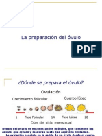 Ciclo Menstrual SSR