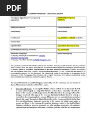 Convertible Note Template