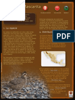 Codornizmascarita PDF