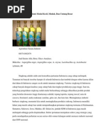 Download Gula Cair by Rizky Ardias Darmawan SN243590041 doc pdf
