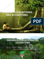 ORGANIZACIÓN INTERNA DEL ECOSISTEMA Camilo