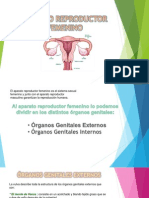Femenino PDF
