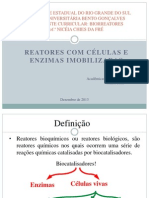 Reatores Com Cã©lulas Imobilizadas