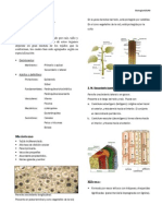 Histología Vegetal Final PDF