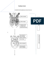 Cardiac Cycle