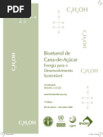 (2008) BNDES & CGEE, Bioetanol de cana-de-açúcar para o desenvolvimento sustentavel.pdf