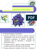 Metabolismul proteinelor 2.ppt