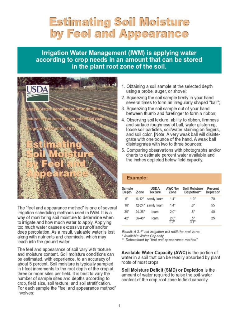 Estimating Soil Moisture | PDF | Technology & Engineering