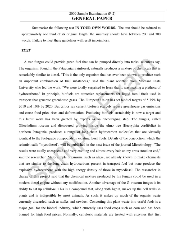 UN YPP - General Paper 2009 - International Affairs 2003 | PDF ...