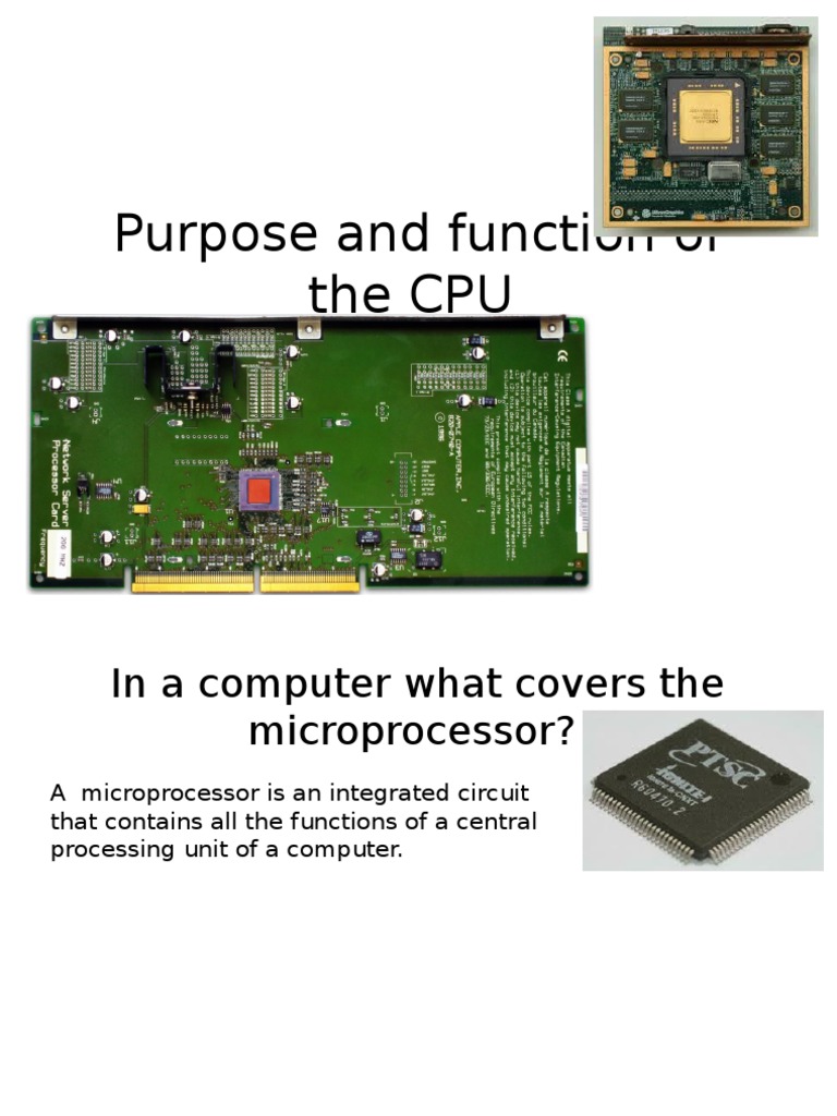 Purpose and Function of The CPU PDF Central Processing Unit