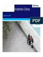 Entrevista_Incidentes_CríticosPablo_Collado.pdf