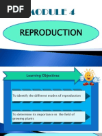 Module 4 Reproduction