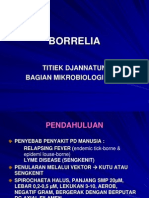 BORRELIA