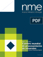 NM-Especial-IMPC- 2014.pdf