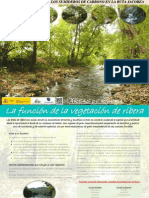 Cartel - Vegetación de Ribera (Texto) - CIRCULOS PDF