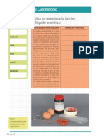 Laboratorio Liquido Amniotico PDF